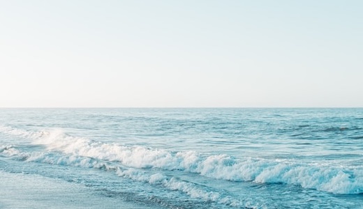 外観はこのような感じ